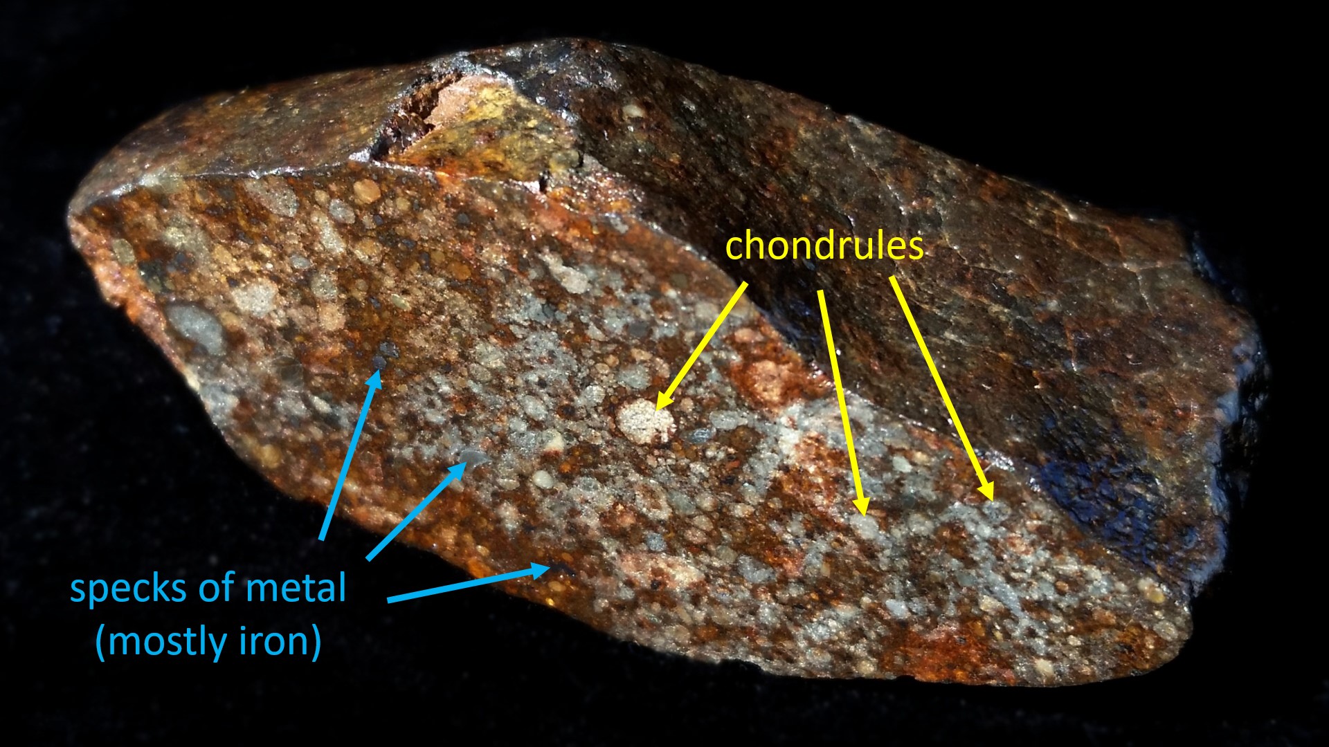 image of a typical chondrite (cross-section)