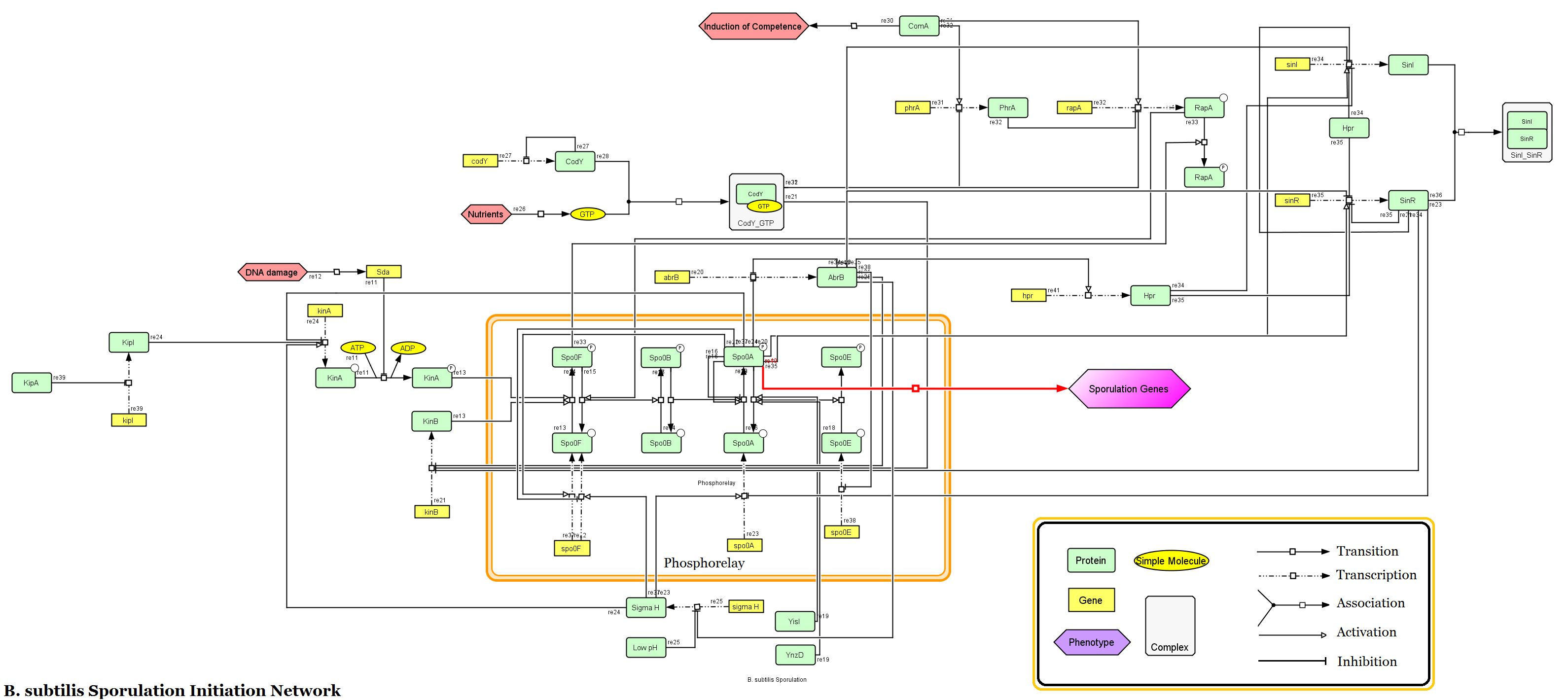 Gene Regulatory Network Inference Diagram For Tumor And Normal