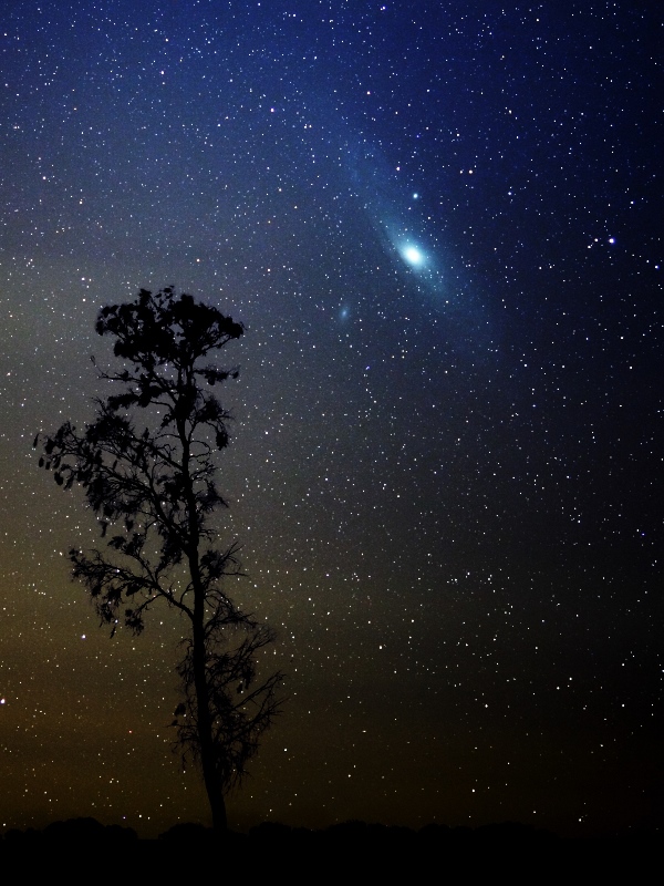 photo of Andromeda taken without a telescope